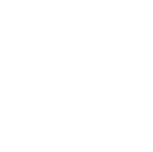 Full Sail University logo with airplane icon.